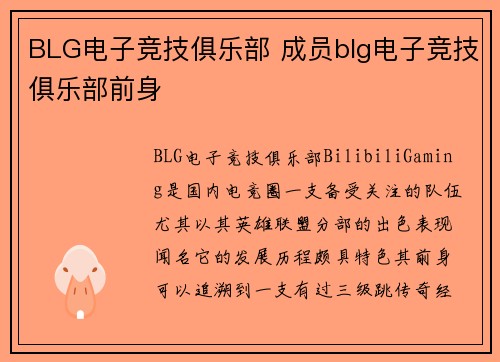 BLG电子竞技俱乐部 成员blg电子竞技俱乐部前身
